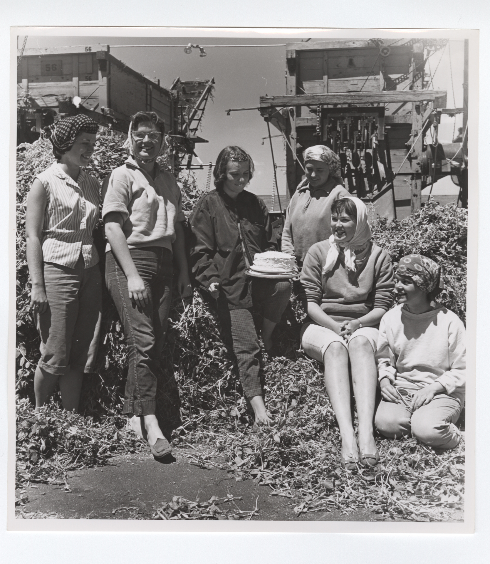 A group of women holding a cake in front of some harvesting equipment during an annual pea harvest.